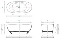GEMINI PRO RYS TECH.JPG