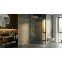 WALK-IN SPACE 10MM GOLD BRUSHED Ścianka 110X200