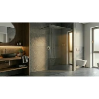 WALK-IN SPACE 10MM GUNMETAL BRUSHED Ścianka 100X200
